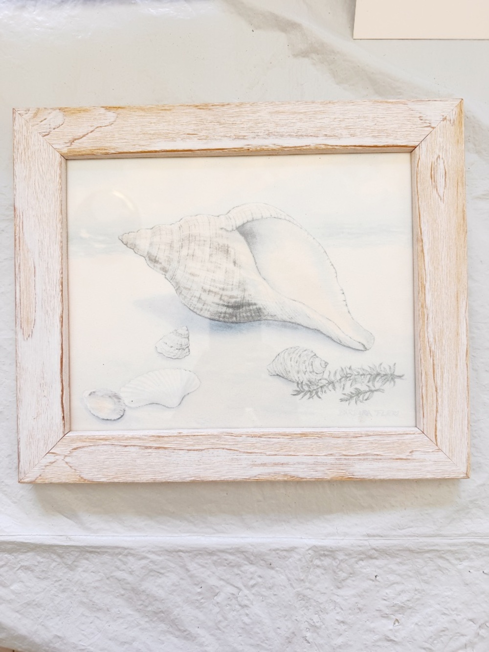 Barbara Fleri Signed Seashell Drawing Framed Coastal Grandma Wall Art 12x10